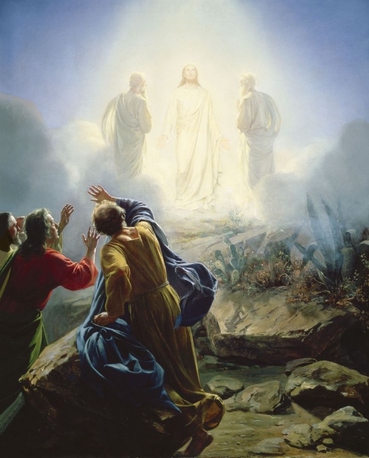 transfiguracion